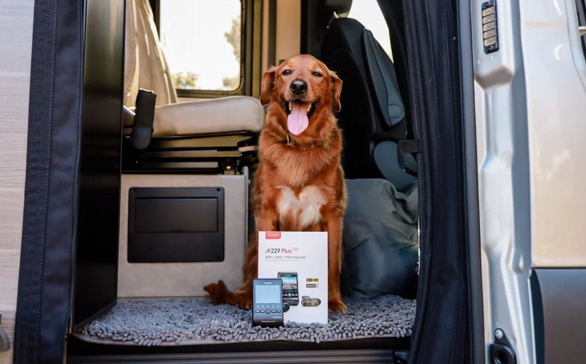 Road Trip Essentials: Must-Have Items for Your Journey - Viofo-official