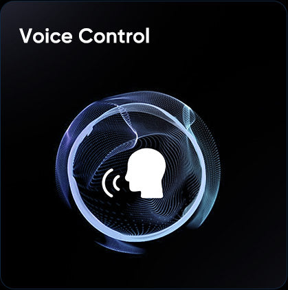 Voice control