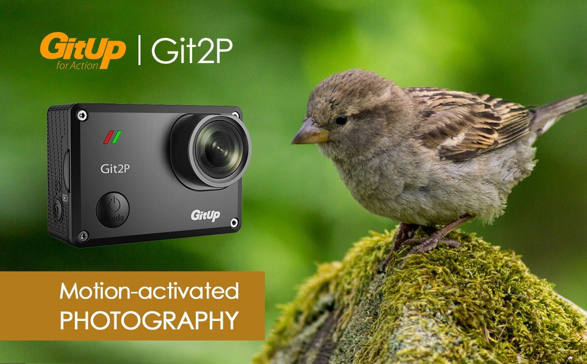 Git2P Hidden Function Introduction- Motion-activated PHOTOGRAPHY