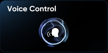 Voice control