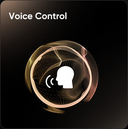 Voice control