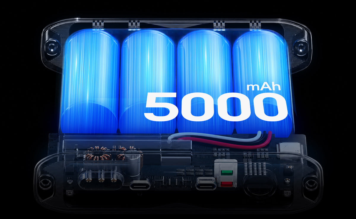 Transparent view of the BP60 four LiFePO4 cells, 5000mAh
